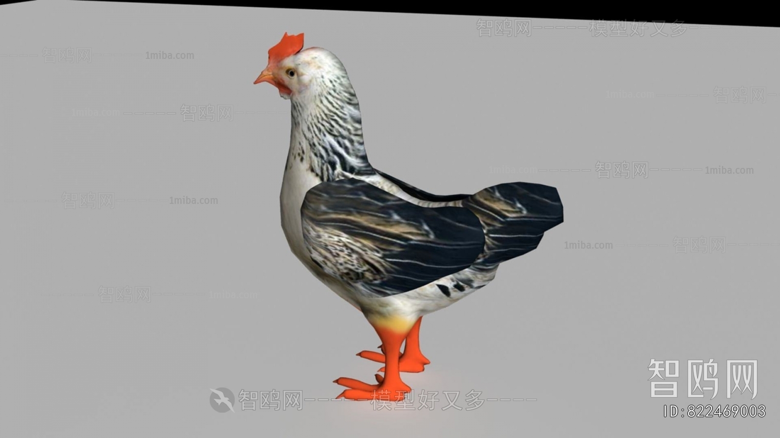 现代母鸡