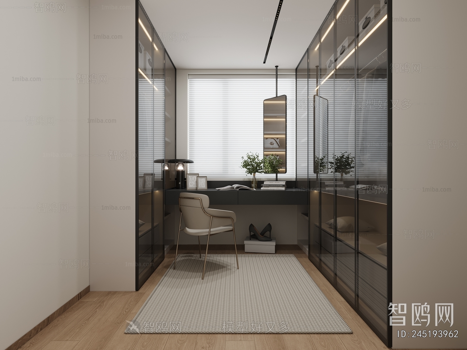 Modern Clothes Storage Area