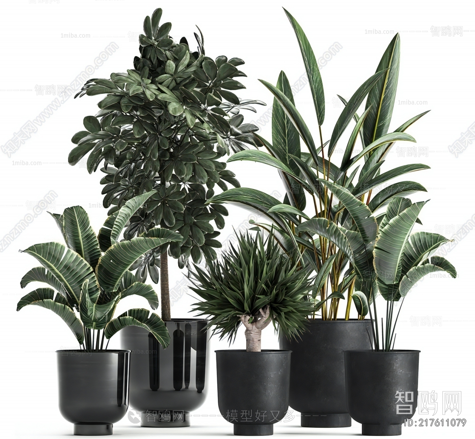 Modern Ground Green Plant Potted Plants