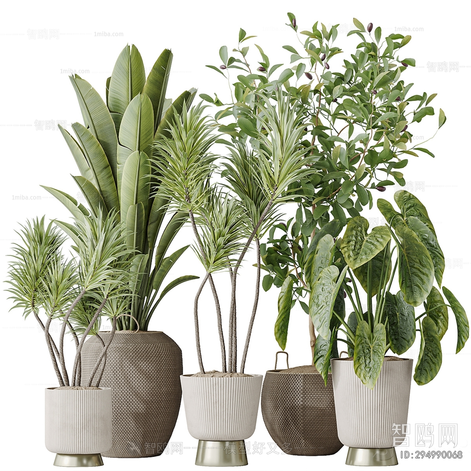 Modern Ground Green Plant Potted Plants