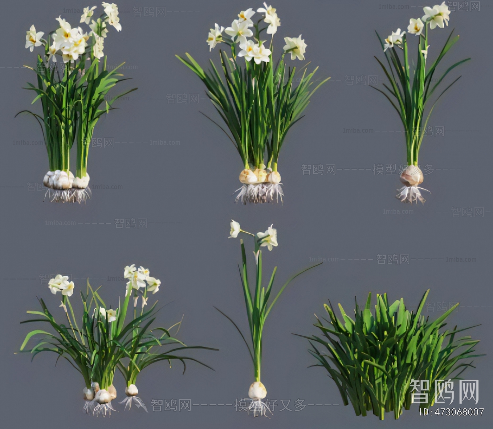 Modern Aquatic Green Plant