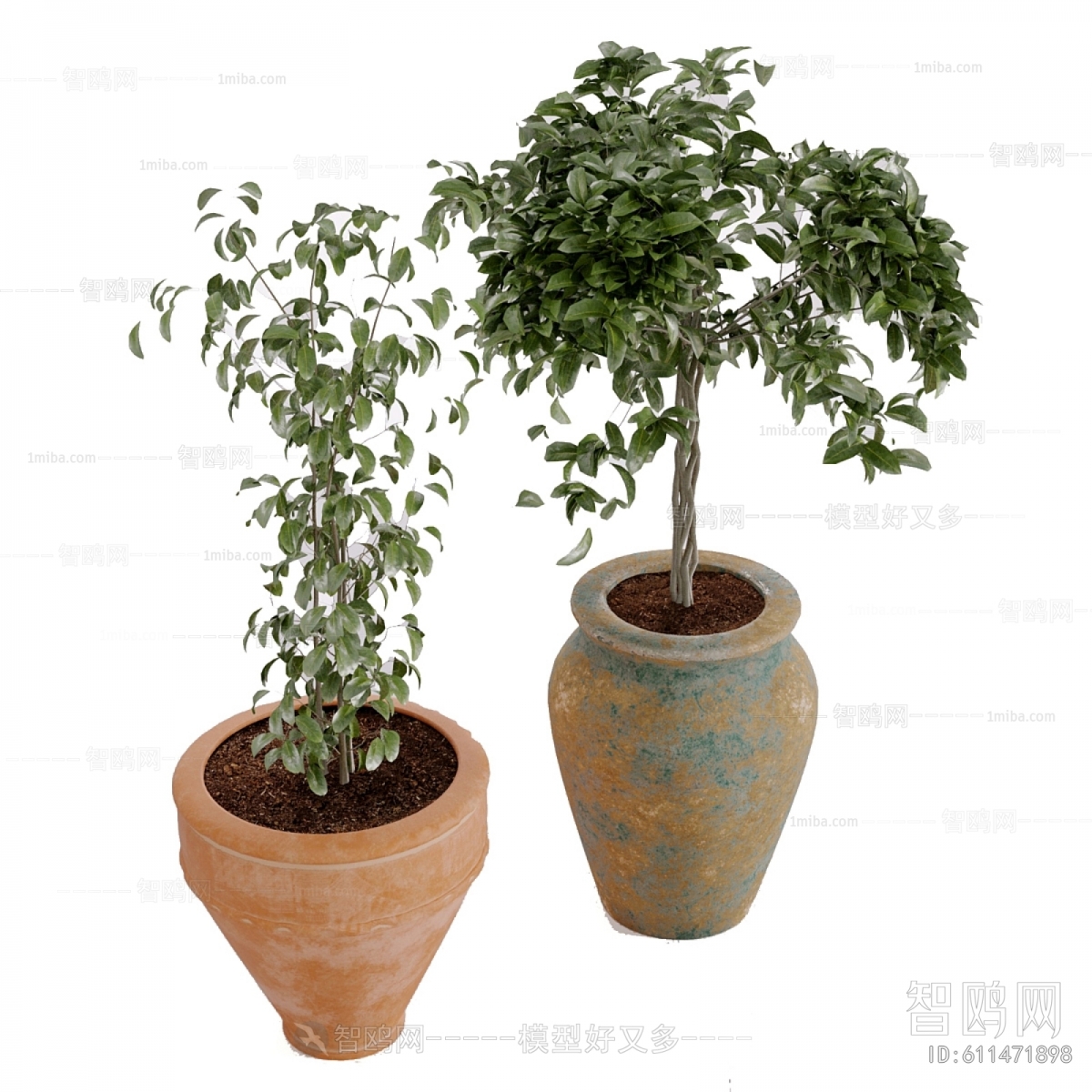 Modern Ground Green Plant Potted Plants