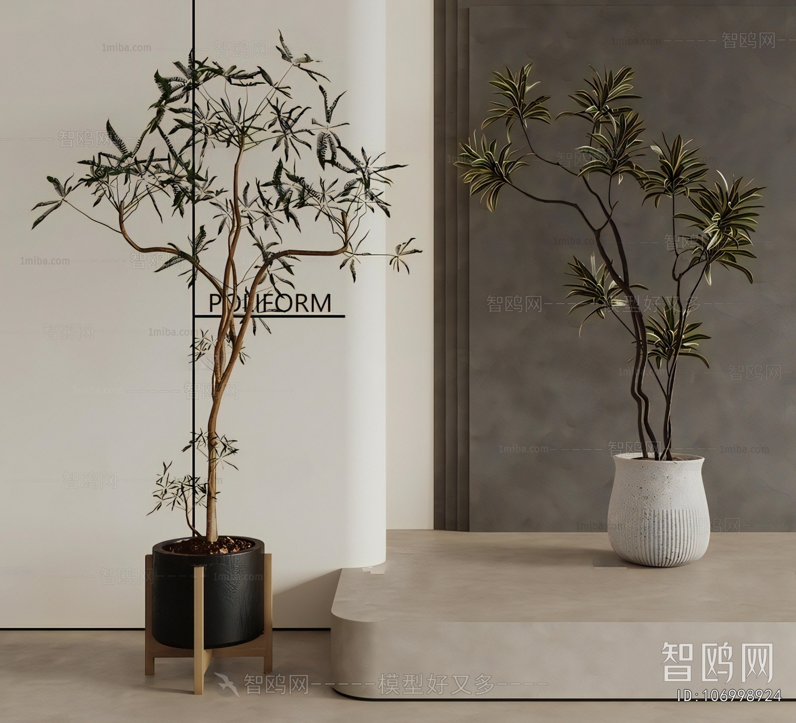 Modern Ground Green Plant Potted Plants