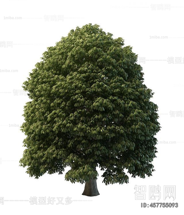 Modern Tree/shrub/grass