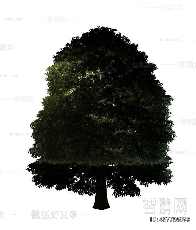 Modern Tree/shrub/grass