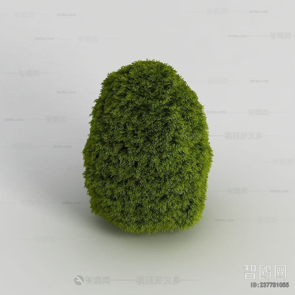 Modern Shrubbery