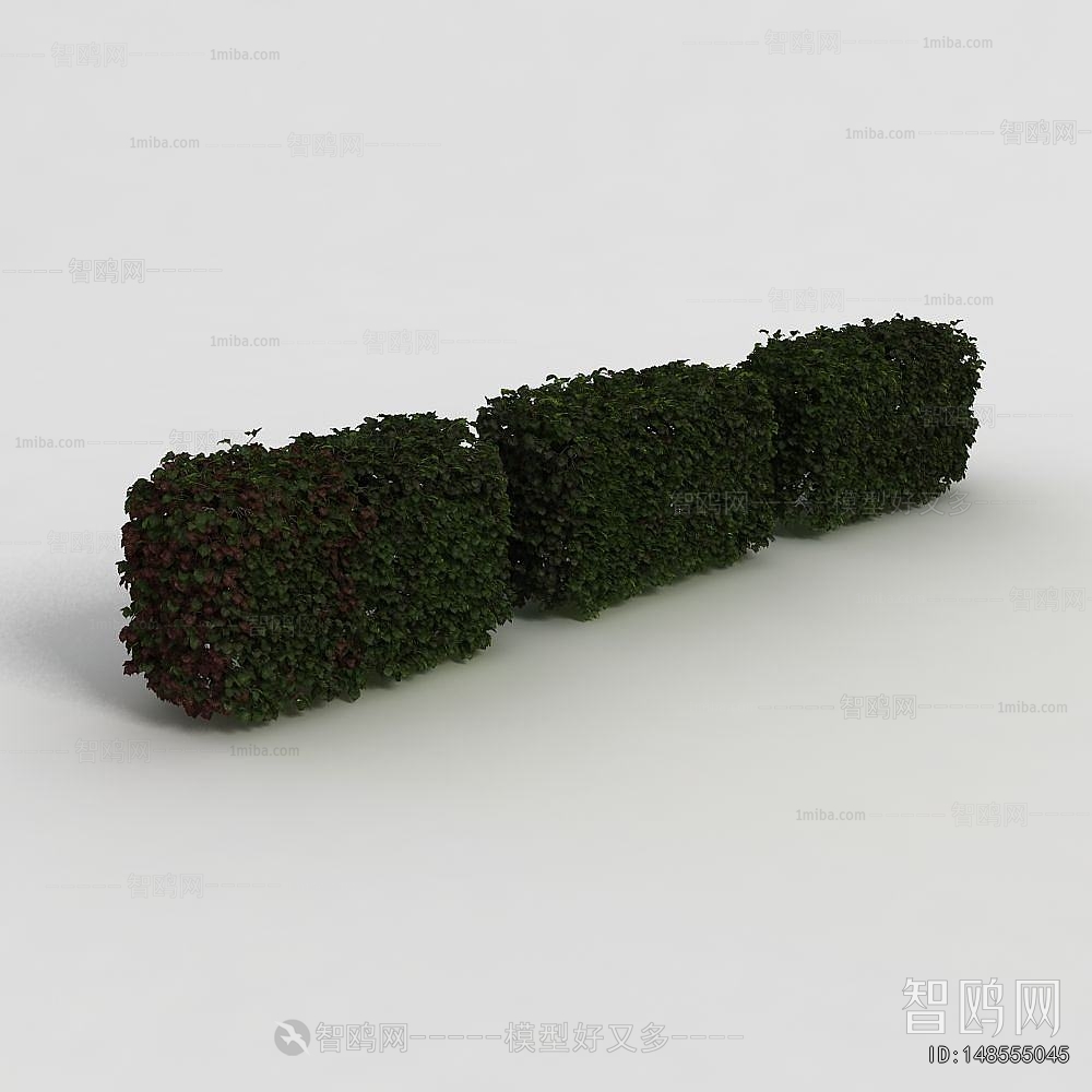 Modern Shrubbery