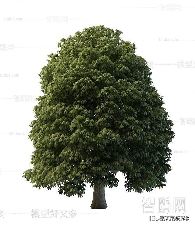 Modern Tree/shrub/grass