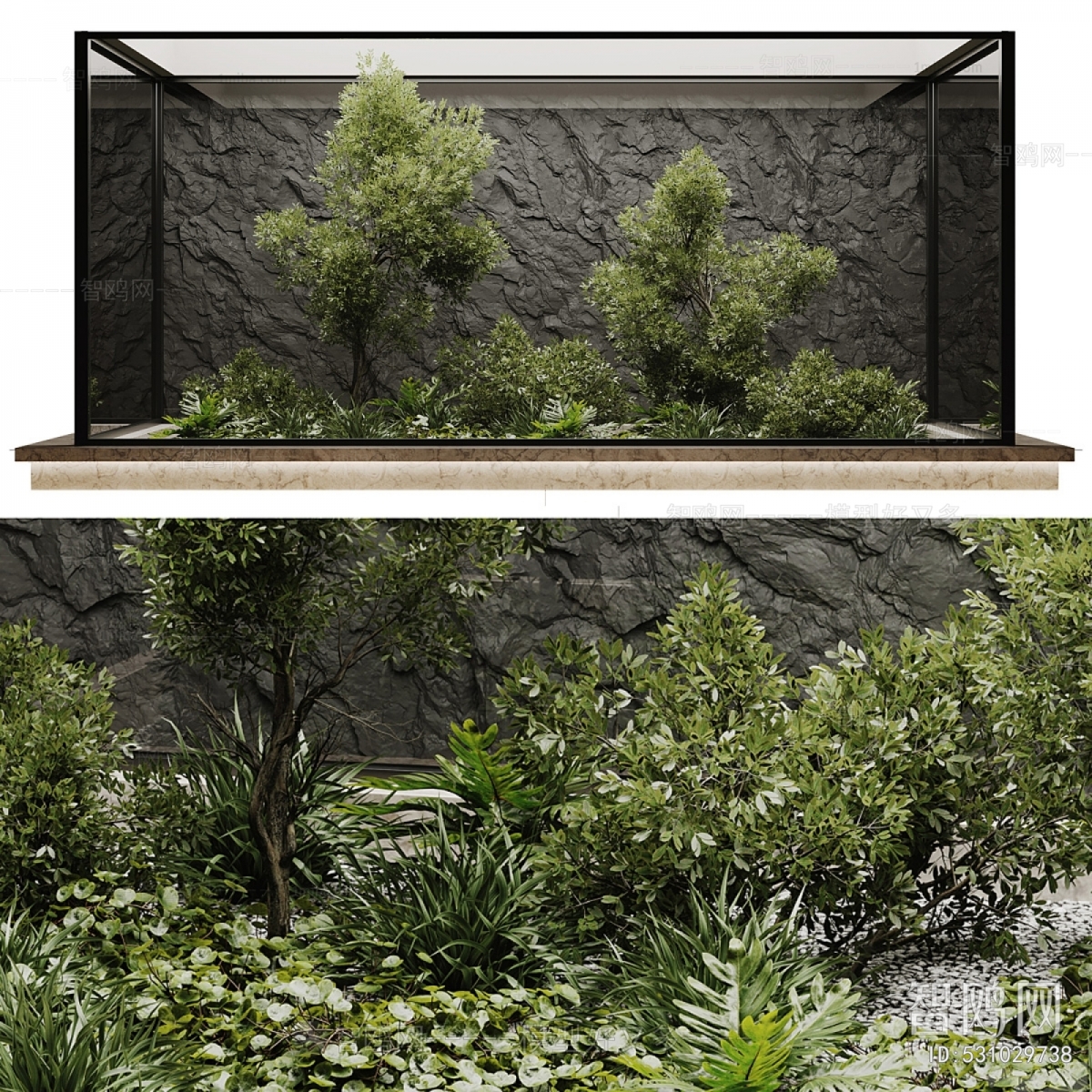 Modern Plant Landscaping