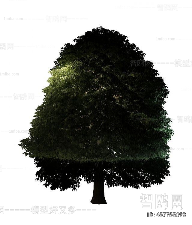 Modern Tree/shrub/grass