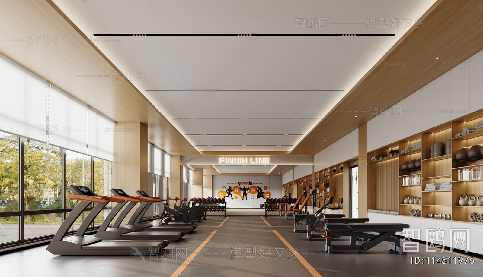 Modern Gym