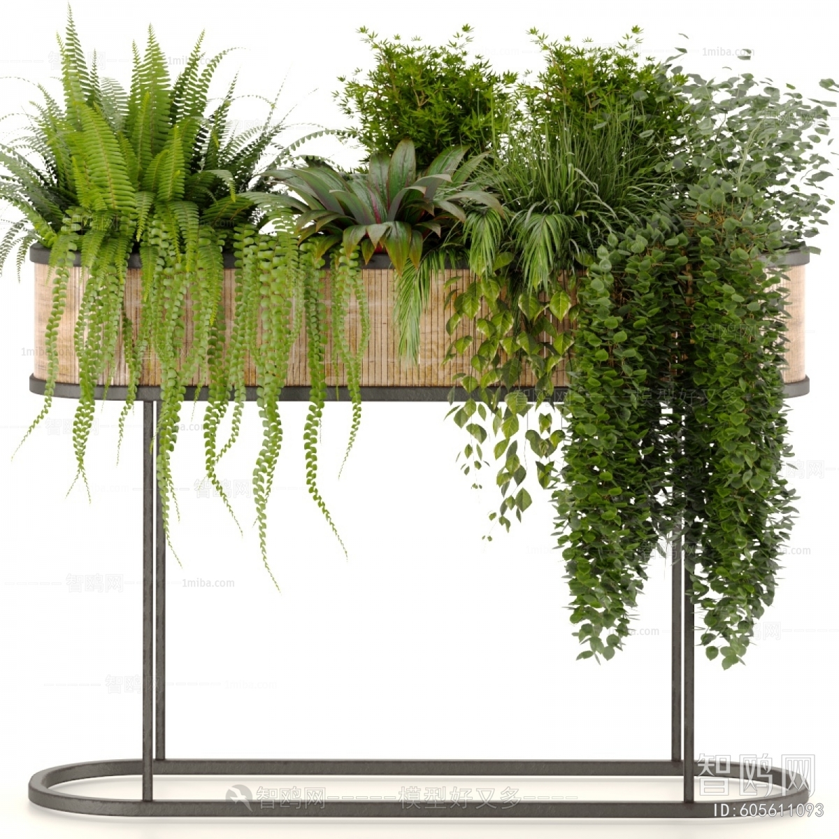 Modern Flower Bed, Flower Bowl, Flower Box