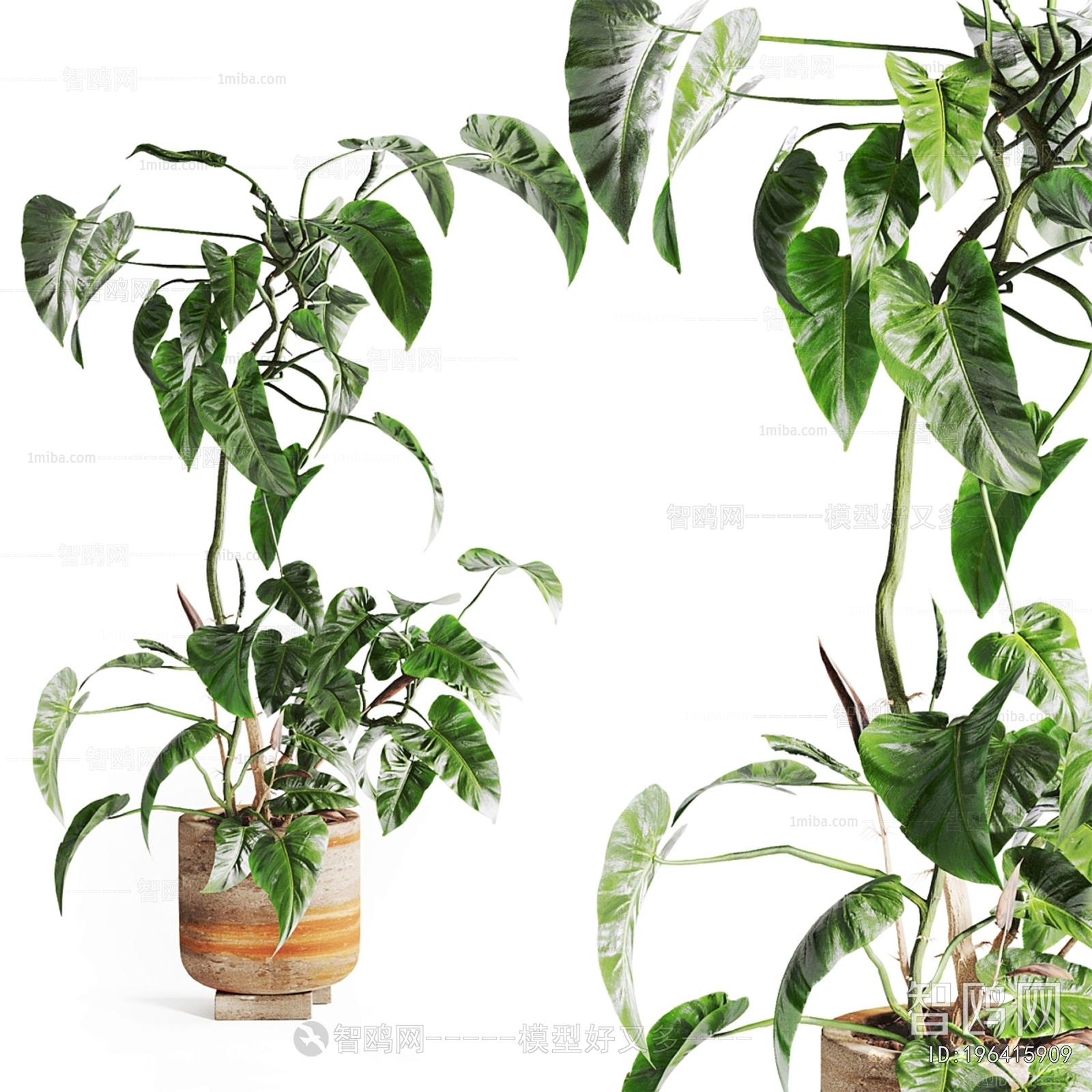 Modern Ground Green Plant Potted Plants