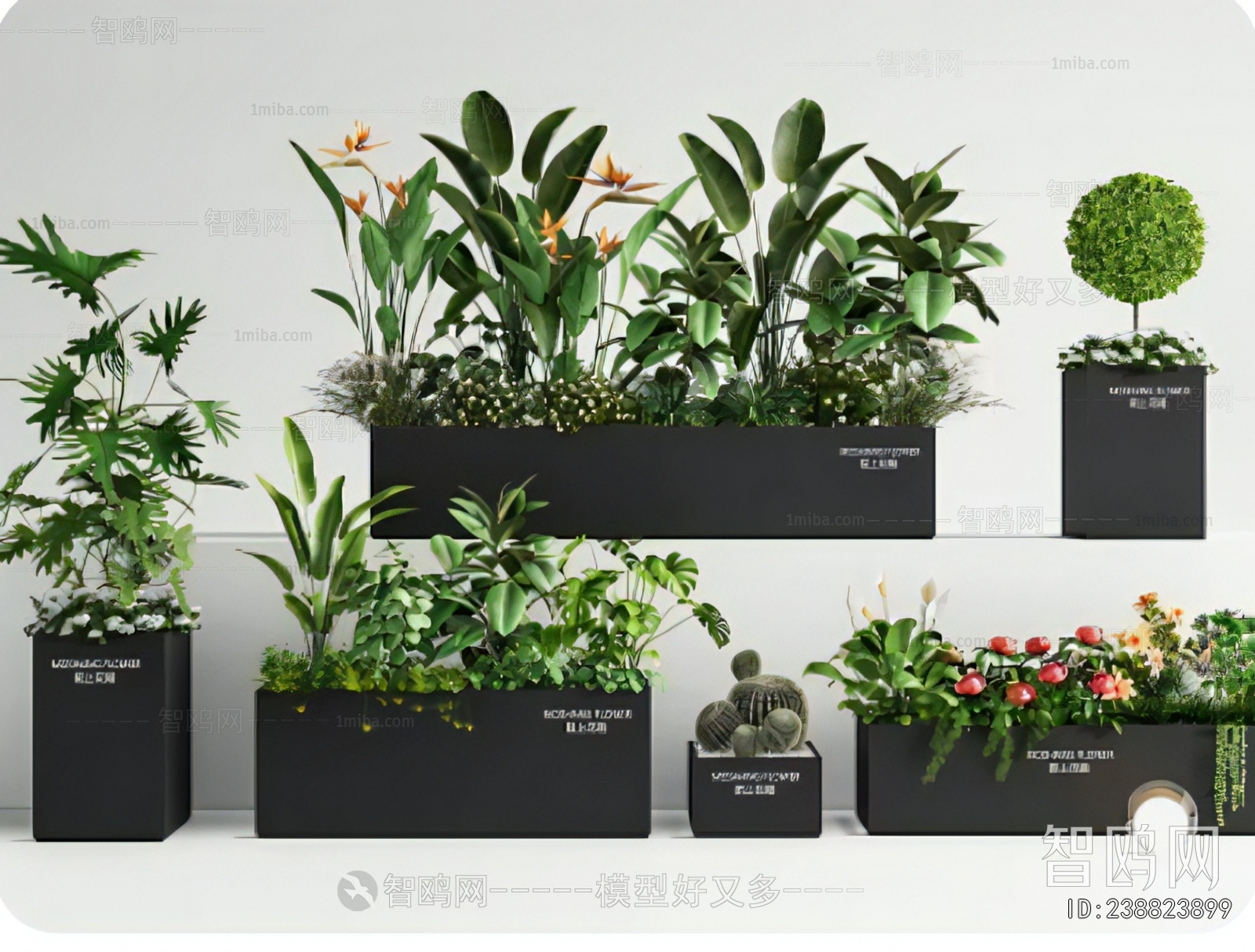 Modern Flower Bed, Flower Bowl, Flower Box