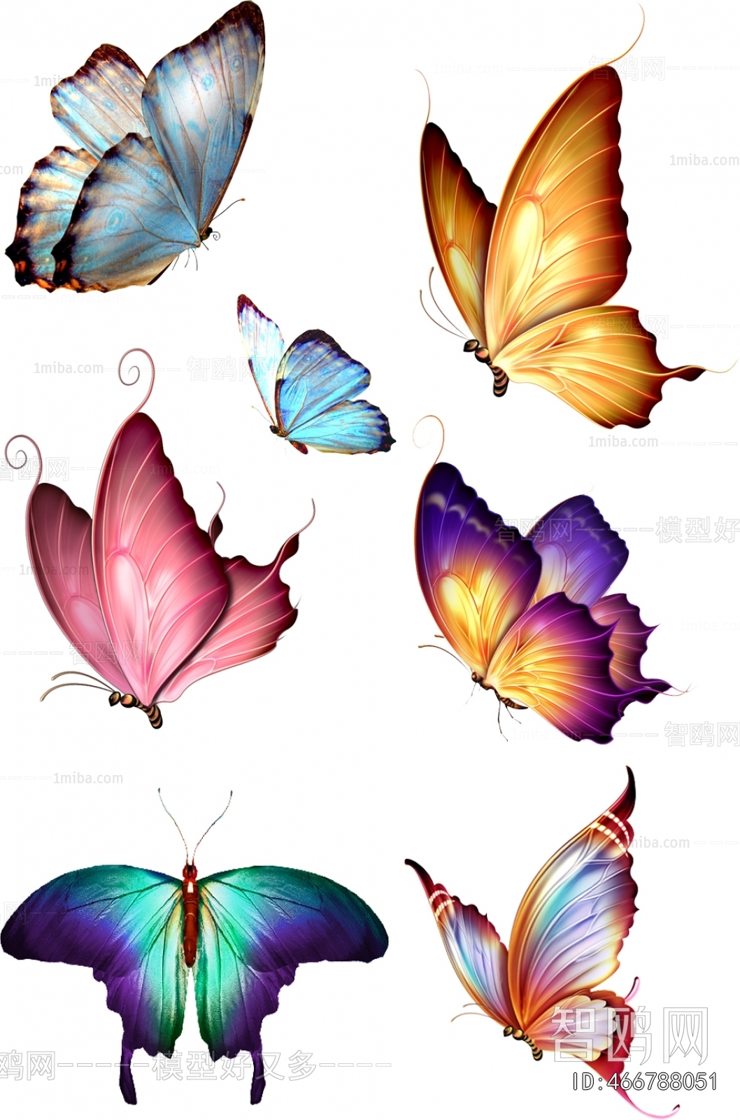 Modern Flying Animals