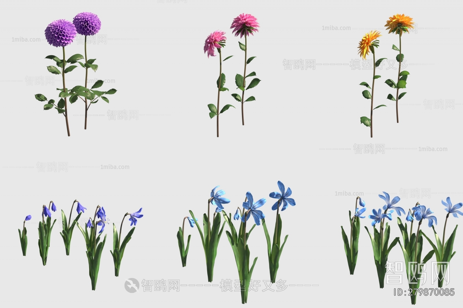 Modern Flowers And Grass