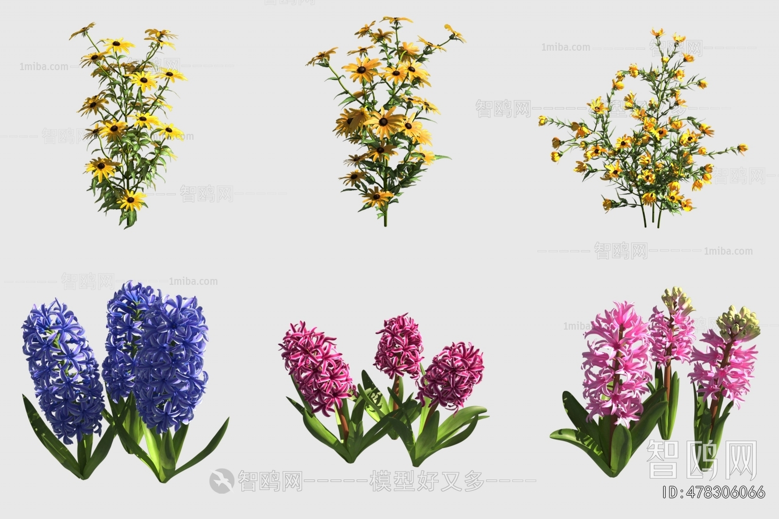 Modern Flowers And Grass