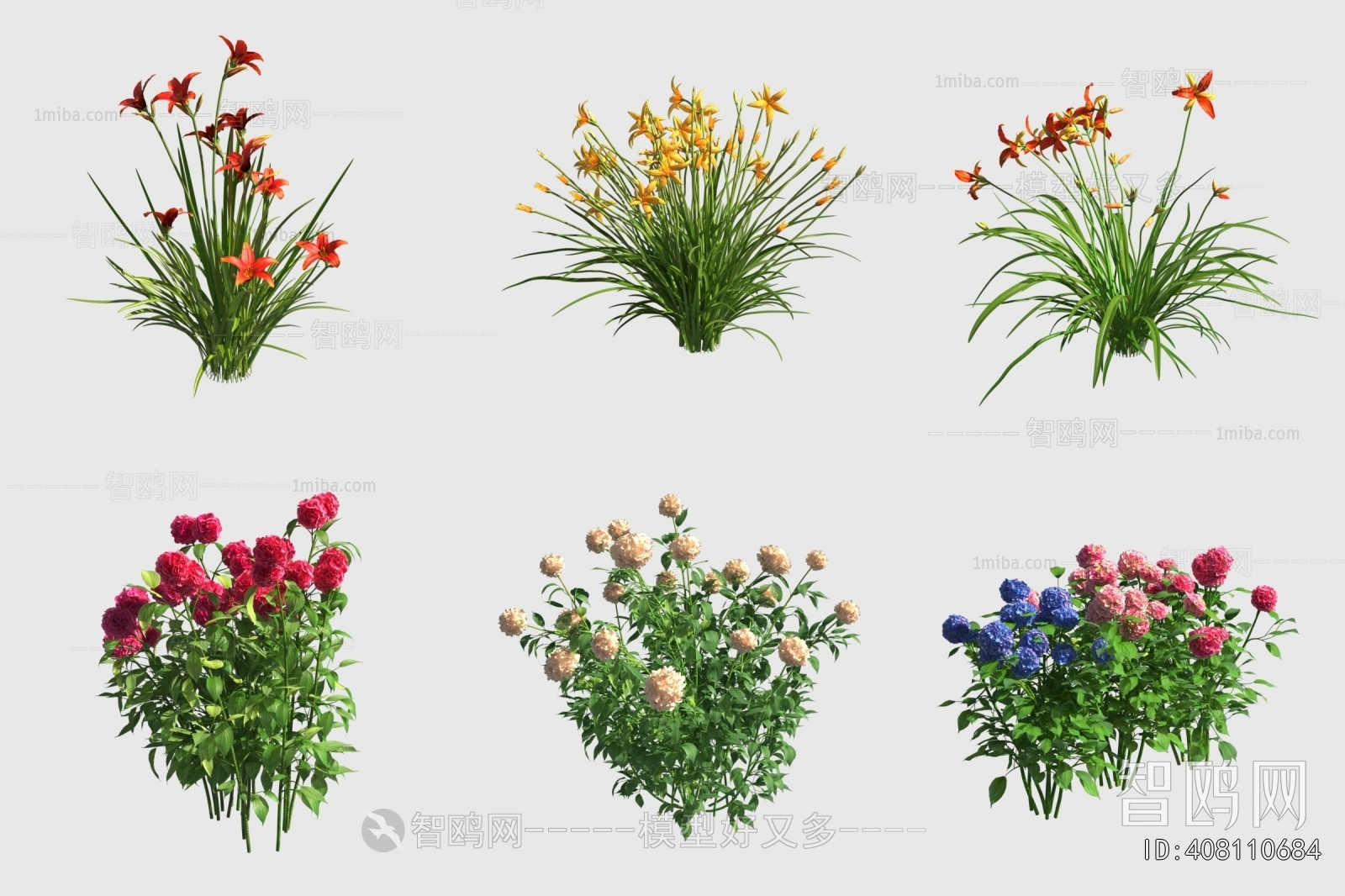 Modern Flowers And Grass