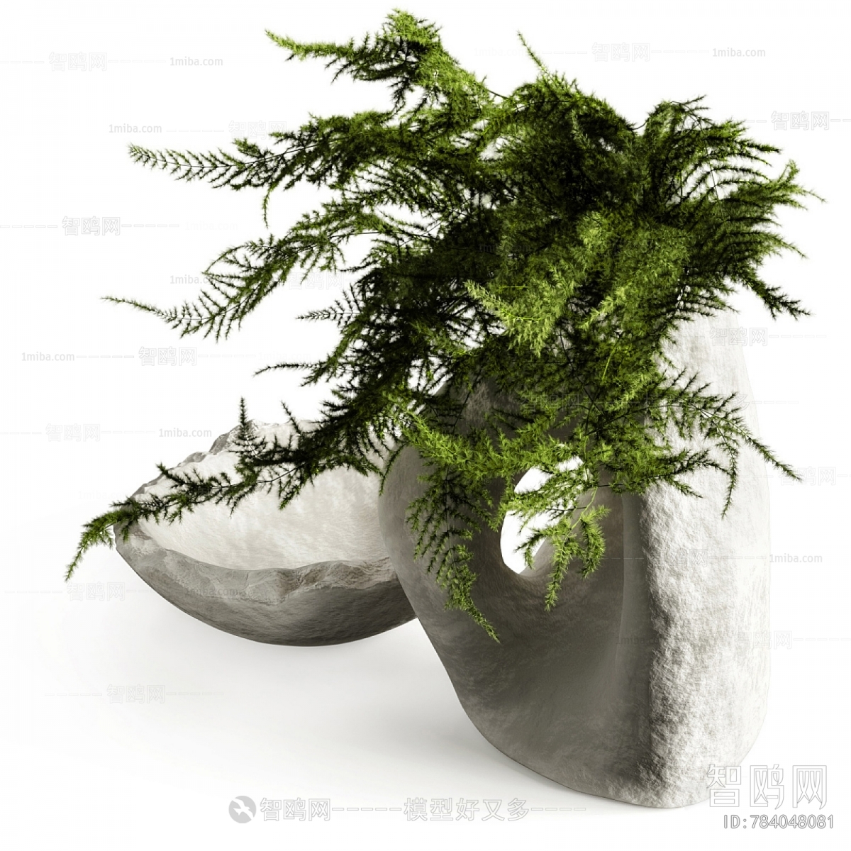 Modern Bonsai