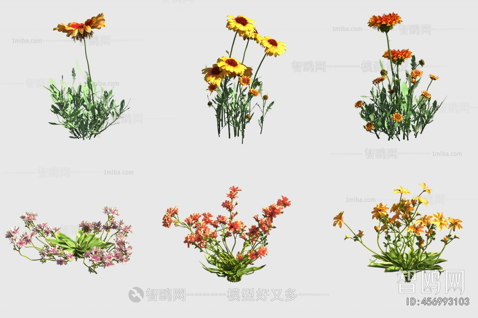 Modern Flowers And Grass