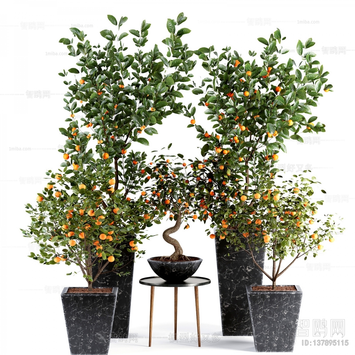 Modern Potted Green Plant