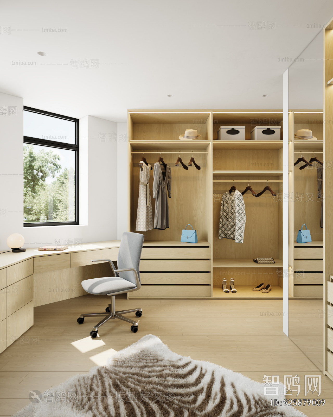 Modern Clothes Storage Area