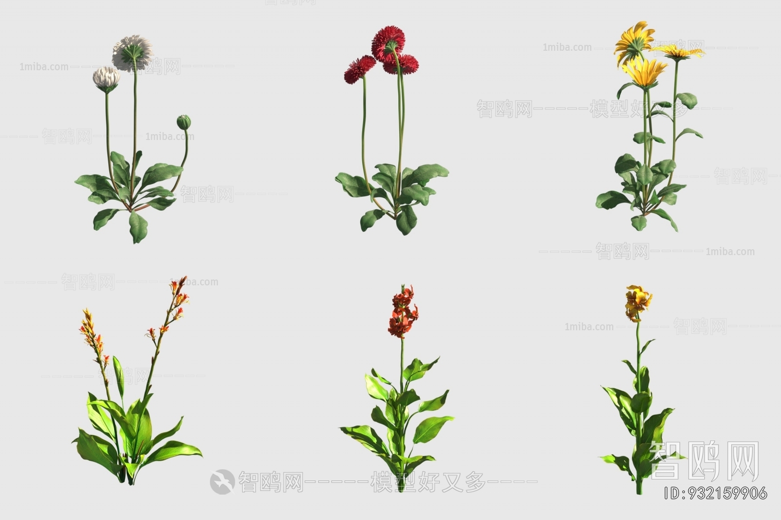 Modern Flowers And Grass