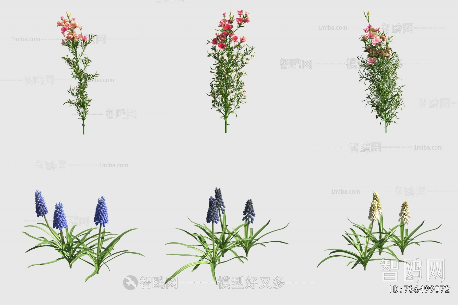 Modern Flowers And Grass