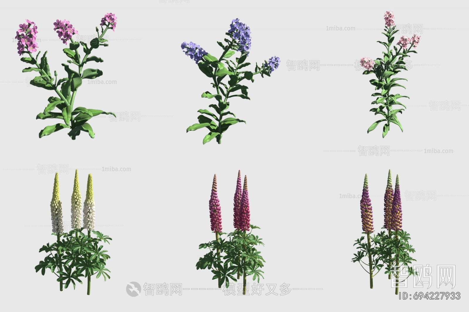 Modern Flowers And Grass