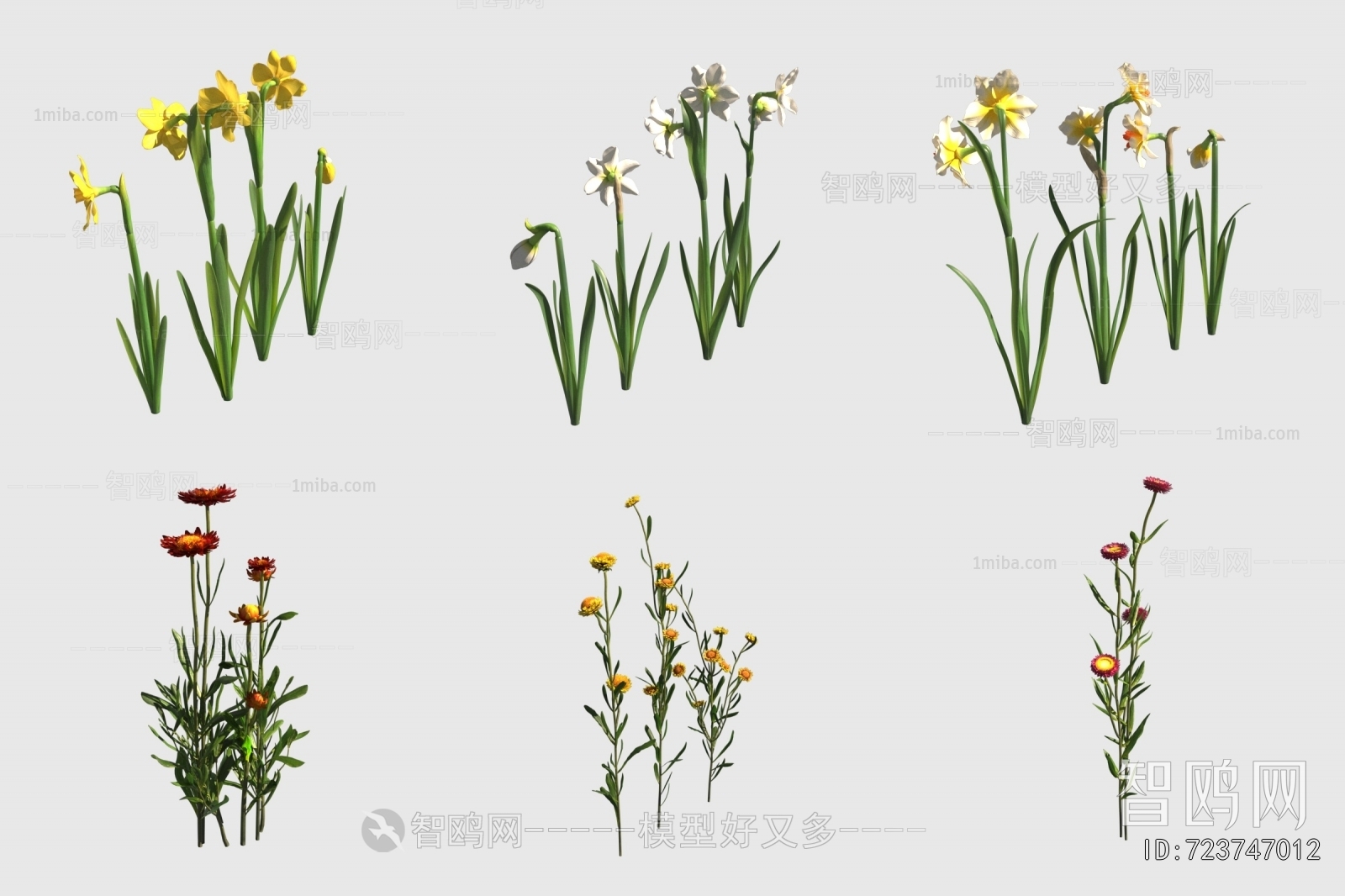 Modern Flowers And Grass