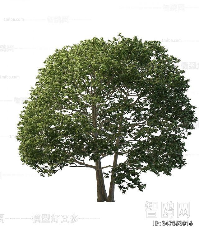 Modern Tree