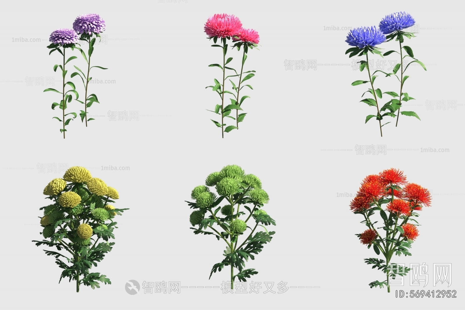 Modern Flowers And Grass