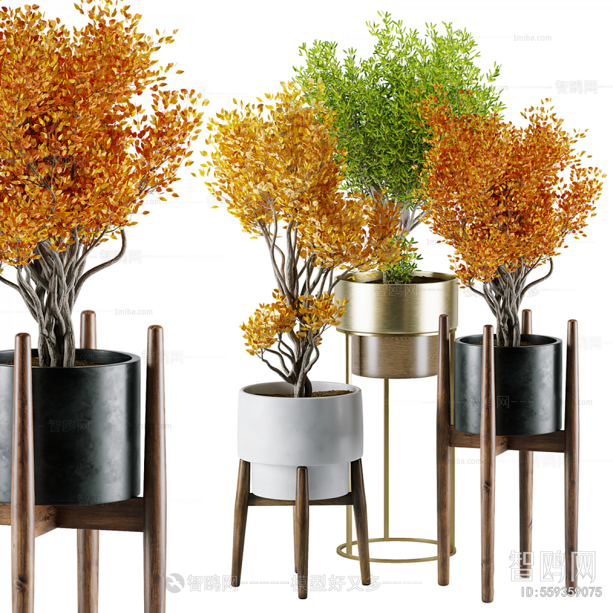 Modern Ground Green Plant Potted Plants