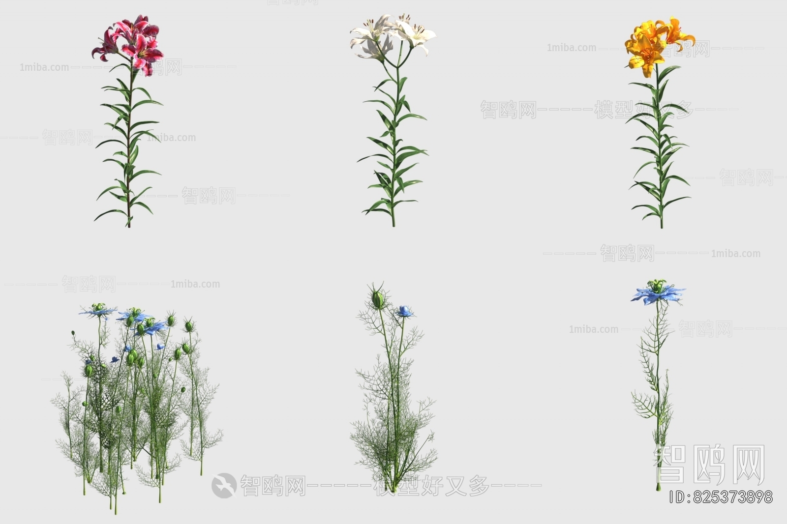 Modern Flowers And Grass