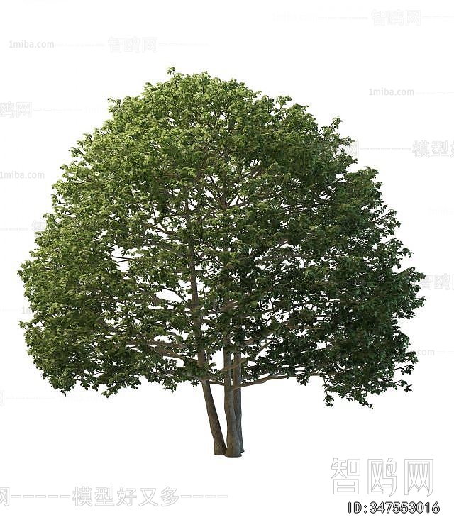 Modern Tree