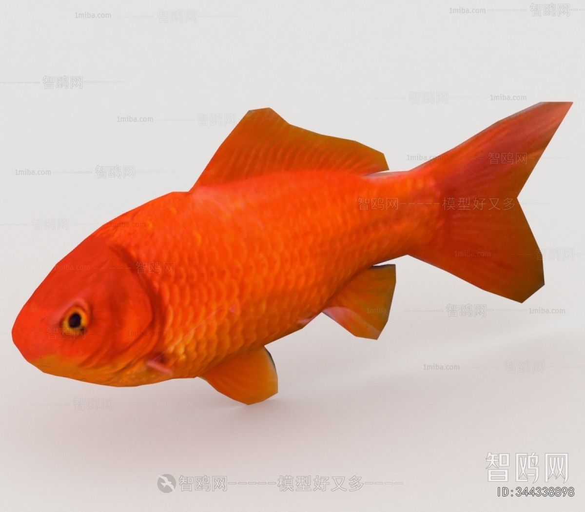 Modern Aquatic Animals