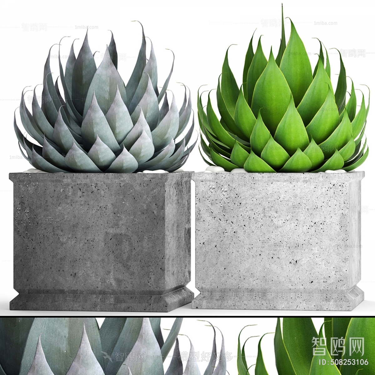 Modern Potted Green Plant