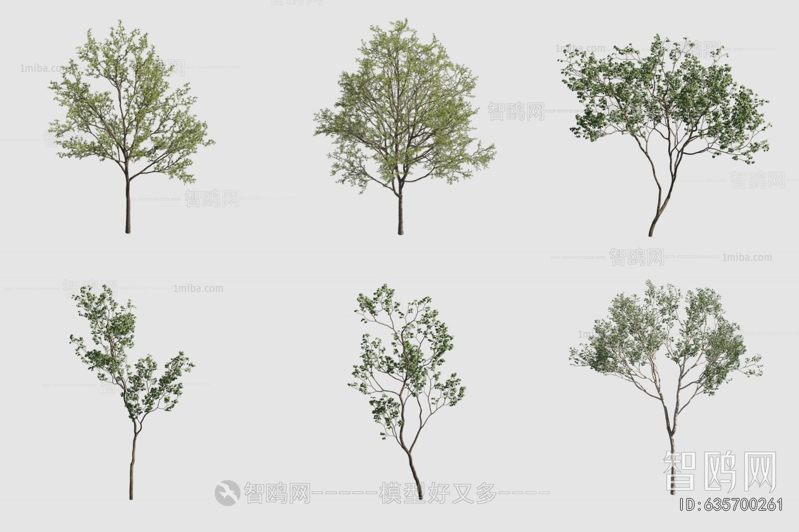 Modern Tree