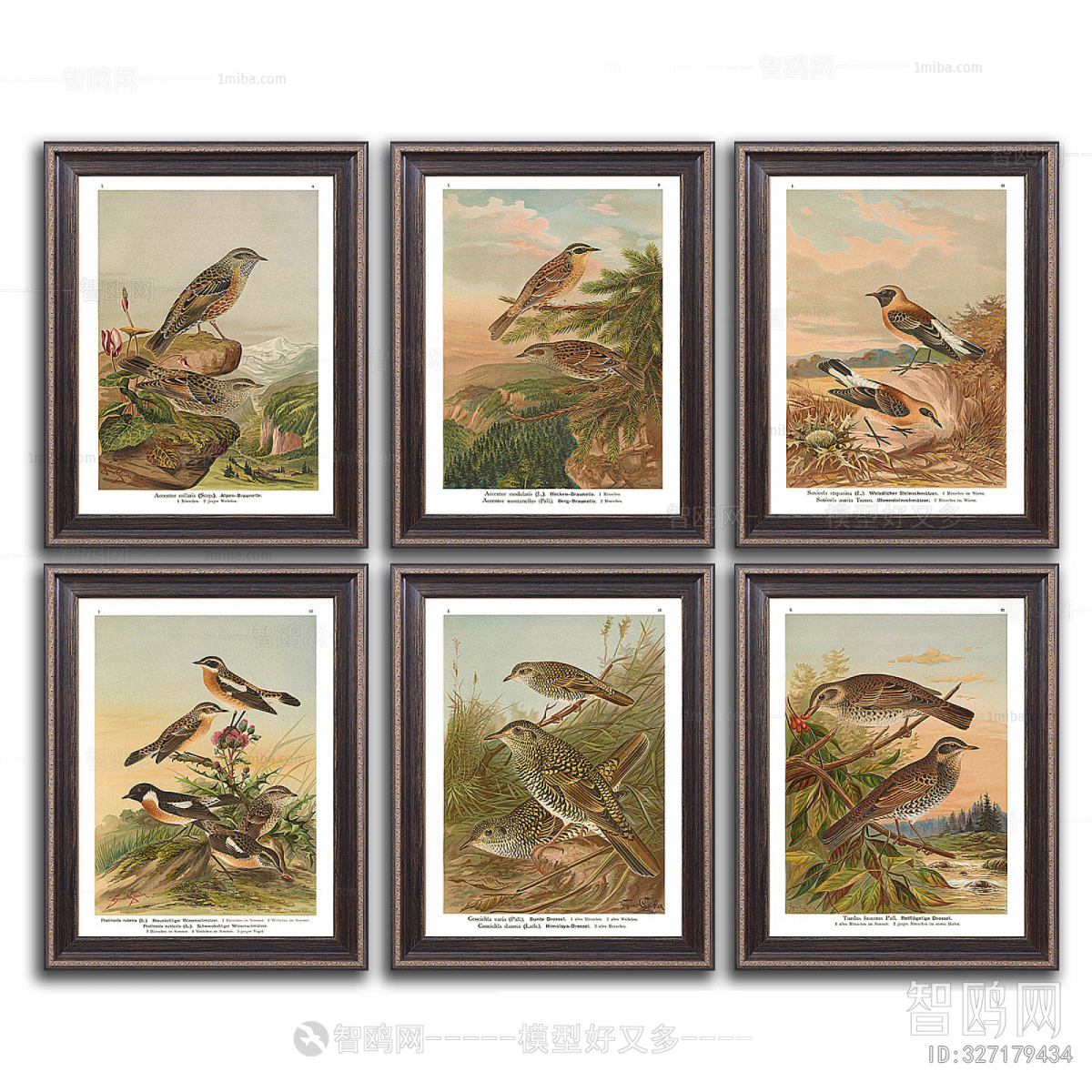 New Chinese Style Painting