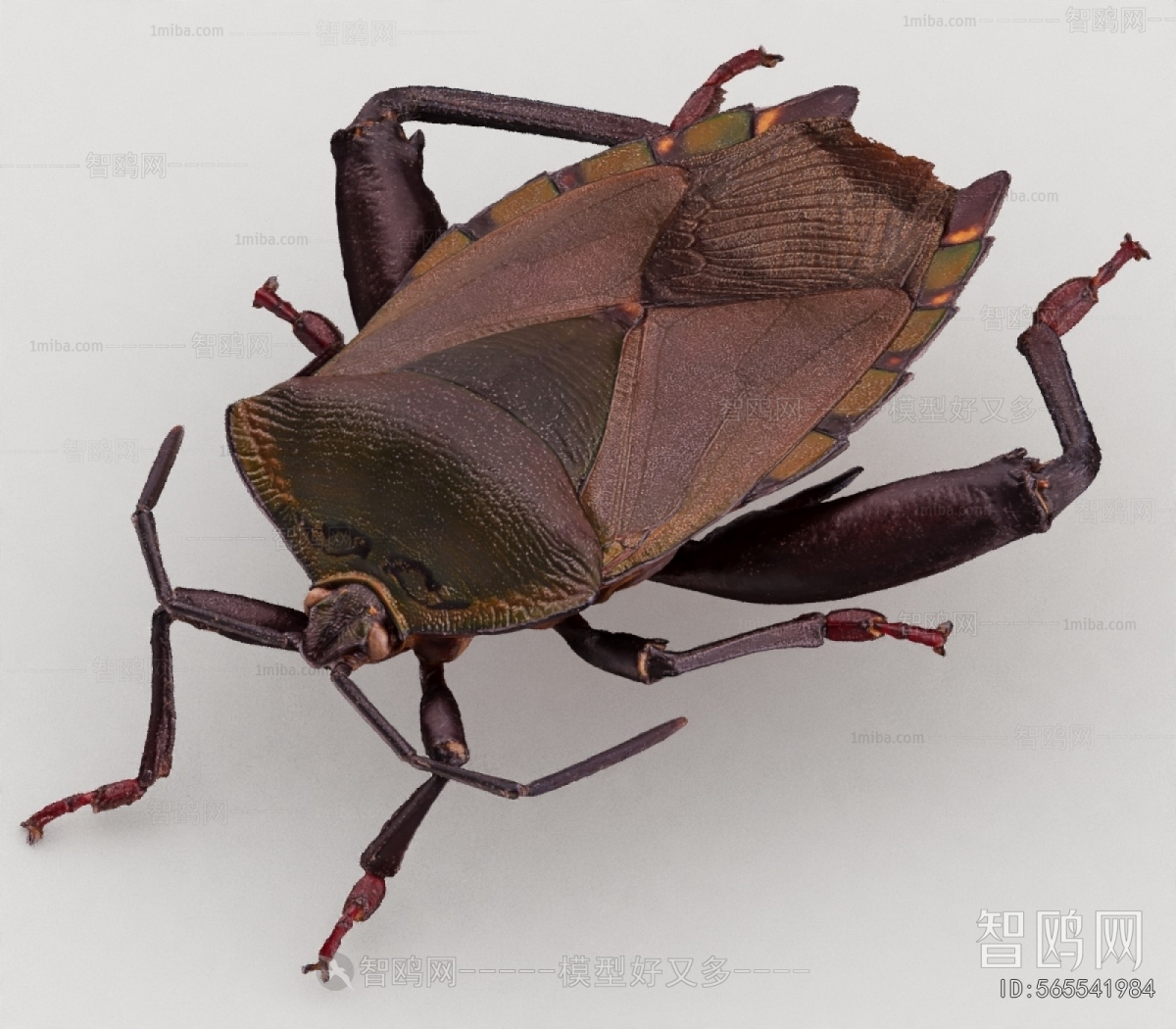 Modern Flying Animals