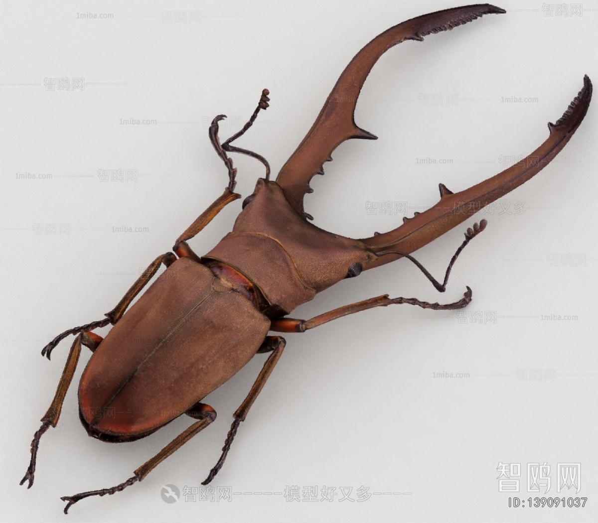 Modern Flying Animals