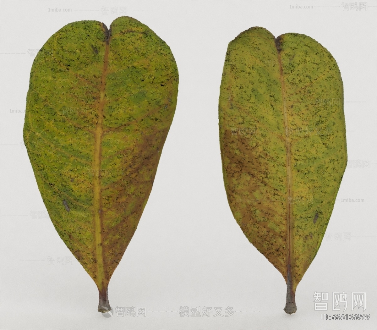 Modern Tree/shrub/grass