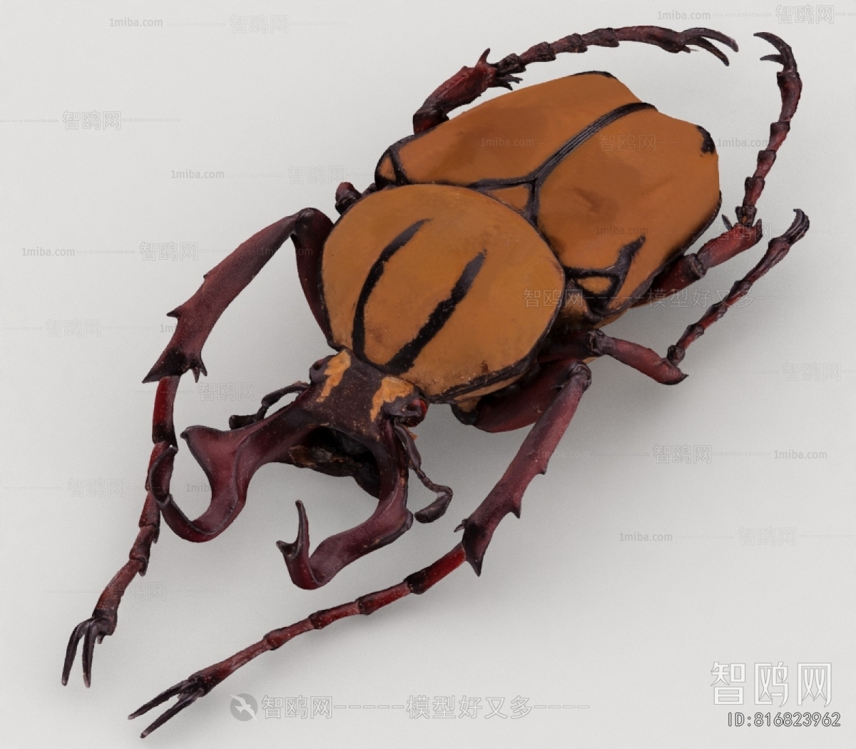 Modern Flying Animals