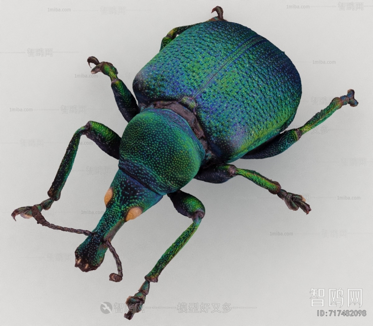 Modern Flying Animals