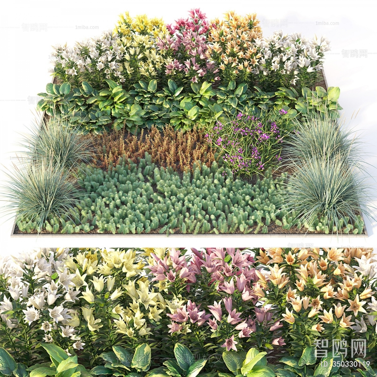 Modern Flowers And Grass