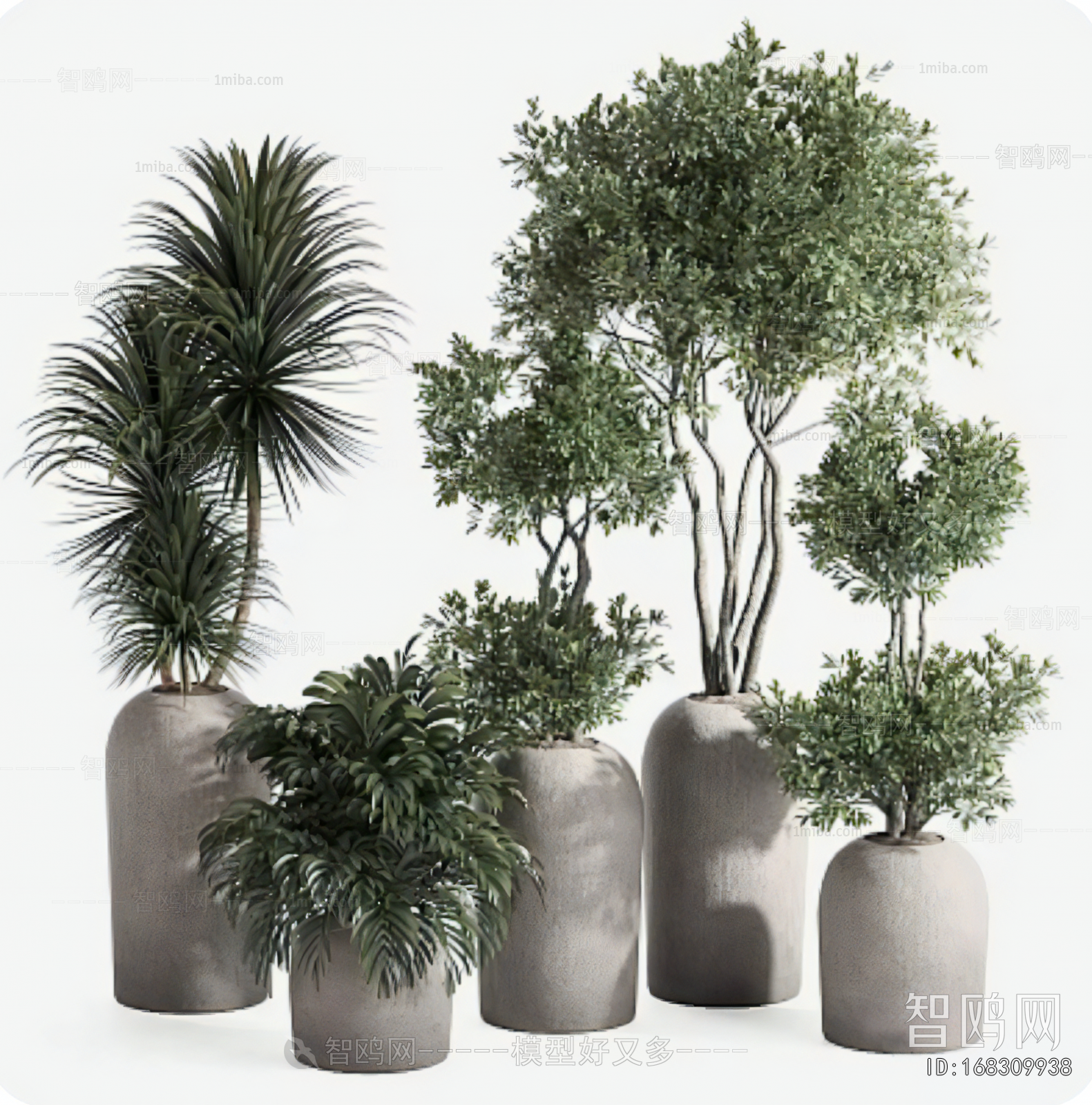 Modern Ground Green Plant Potted Plants
