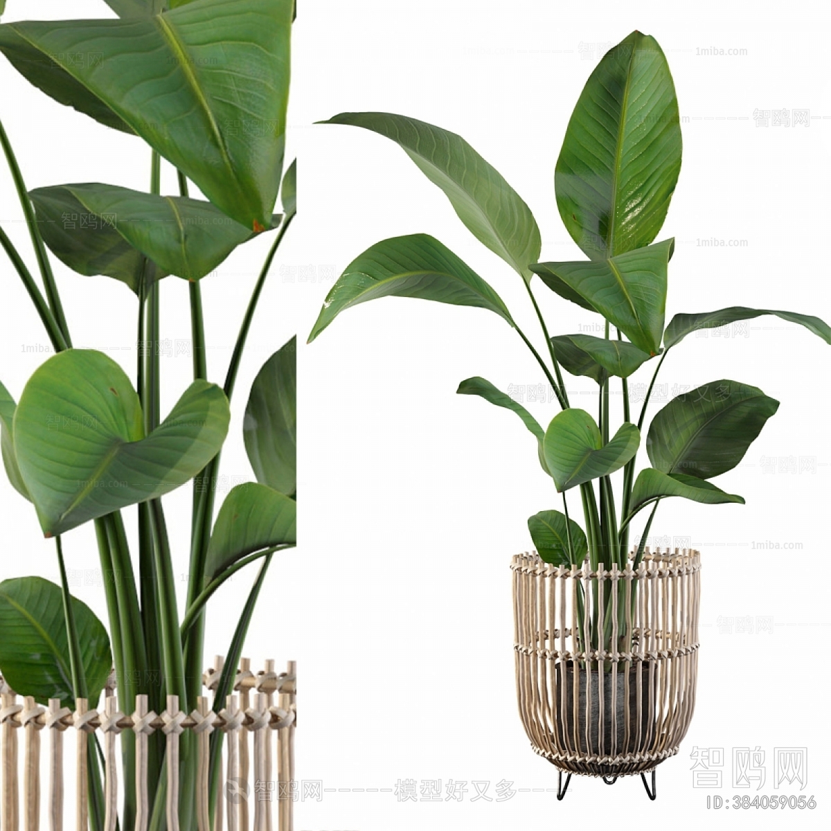 Modern Ground Green Plant Potted Plants
