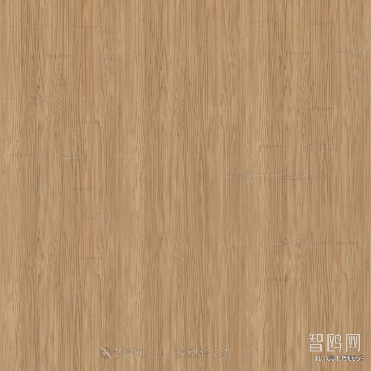 Wood Texture