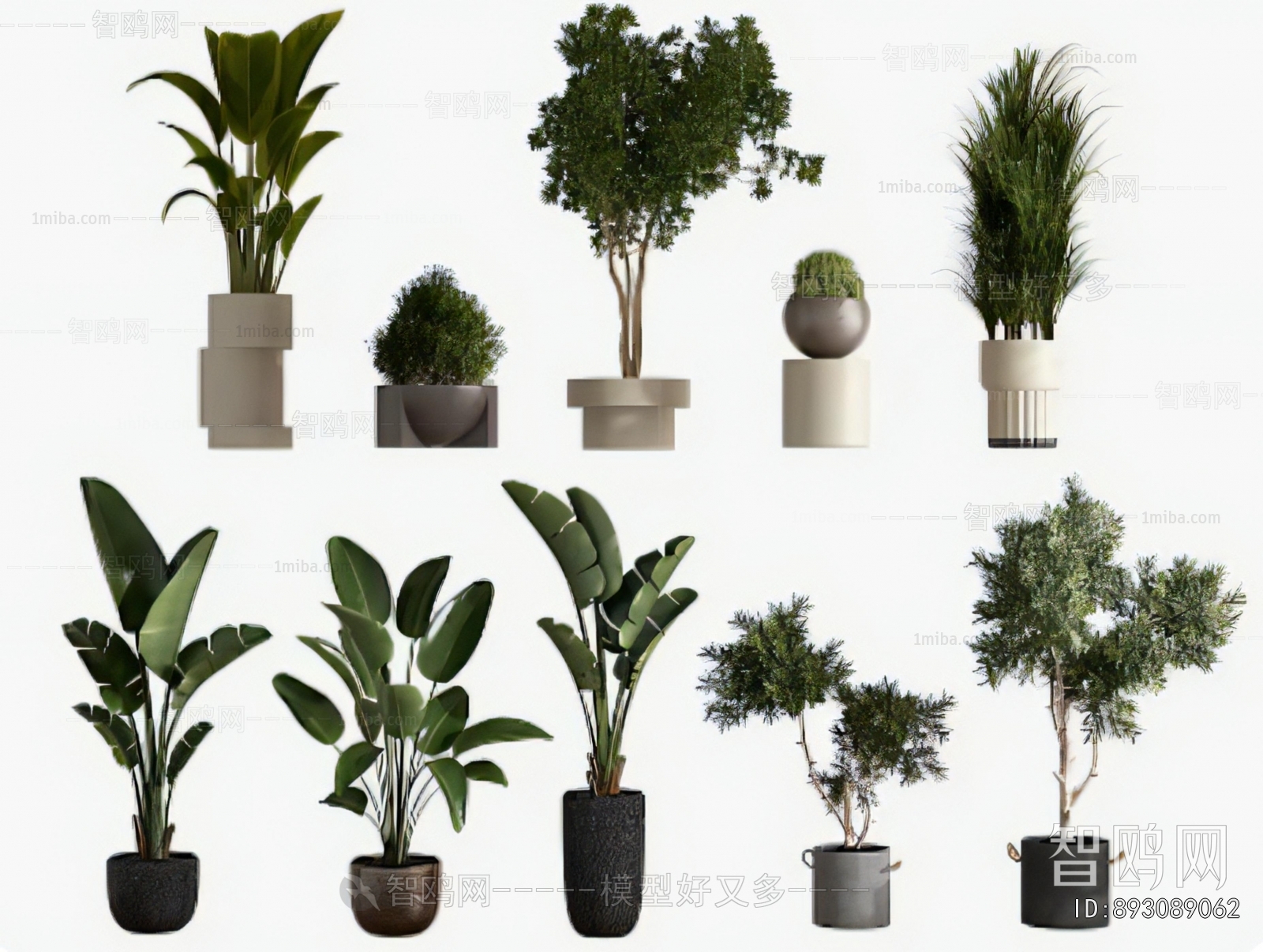 Modern Ground Green Plant Potted Plants
