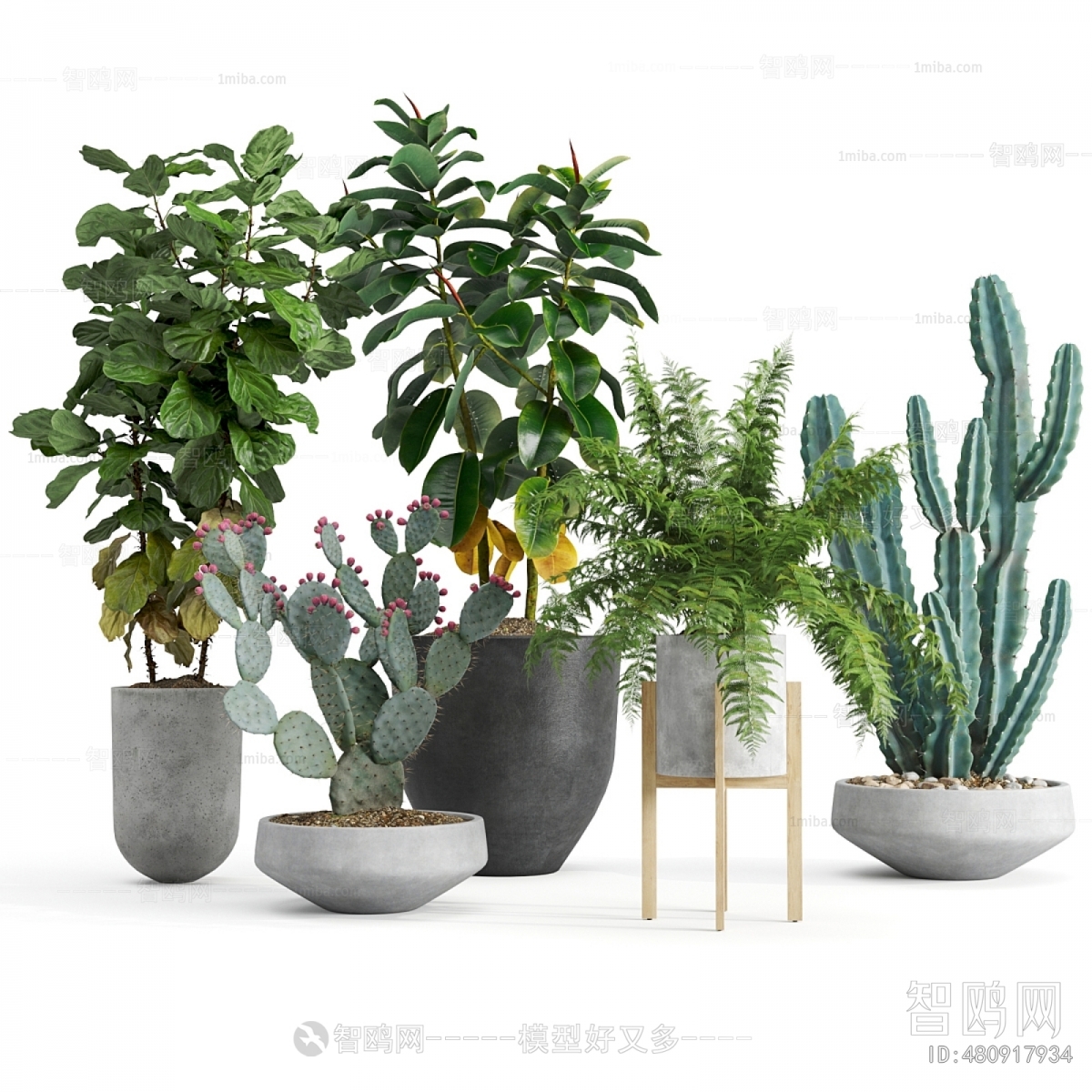 Modern Ground Green Plant Potted Plants